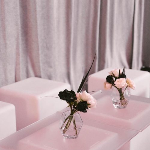 51010865_2040555656241502_7635829853741724166_n